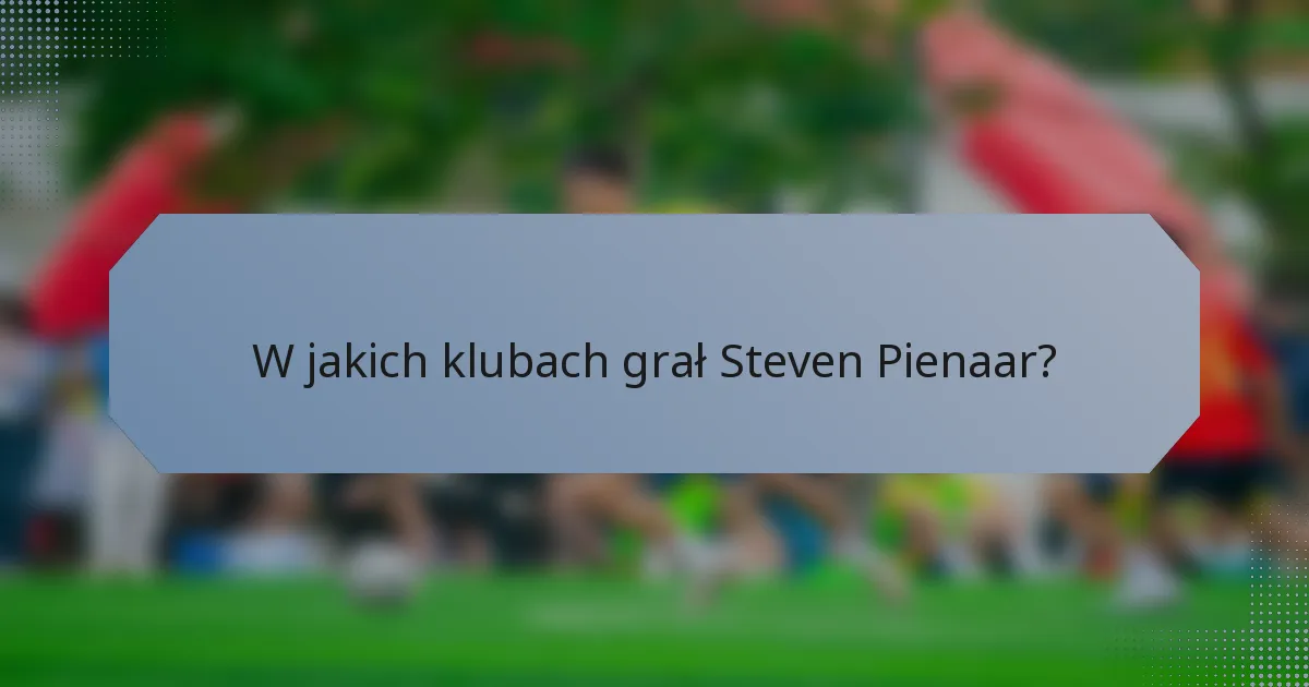 W jakich klubach grał Steven Pienaar?